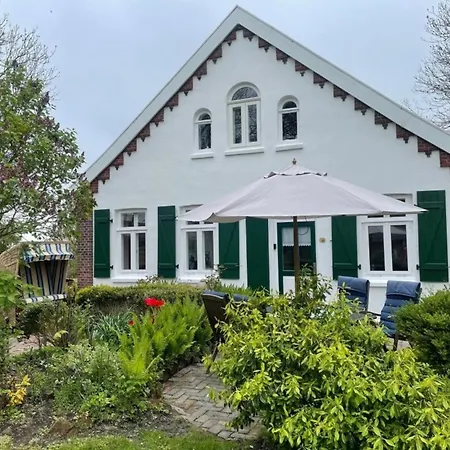 Up De Warft - Friesenrose *