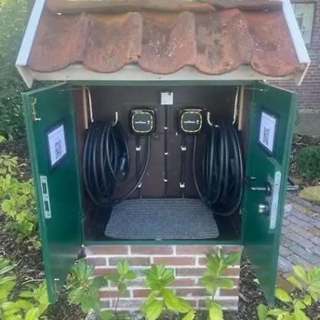 Up De Warft - Friesenrose *