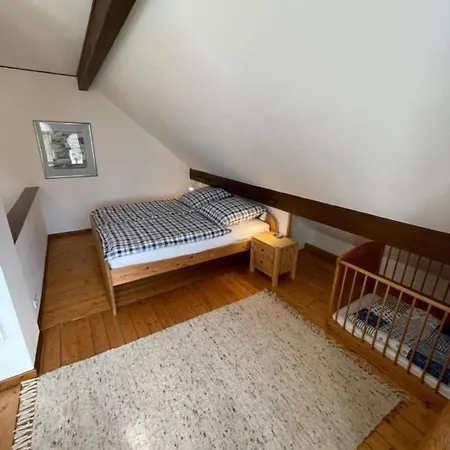 Up De Warft - Friesenrose