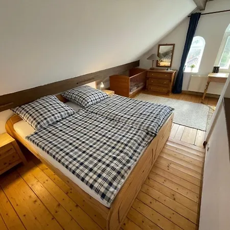 Up De Warft - Friesenrose * فيردوم