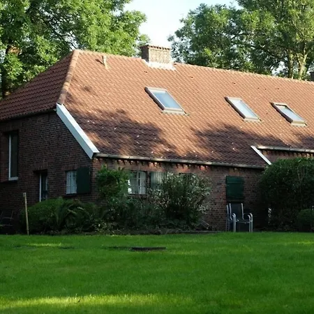 Up De Warft - Friesenrose *