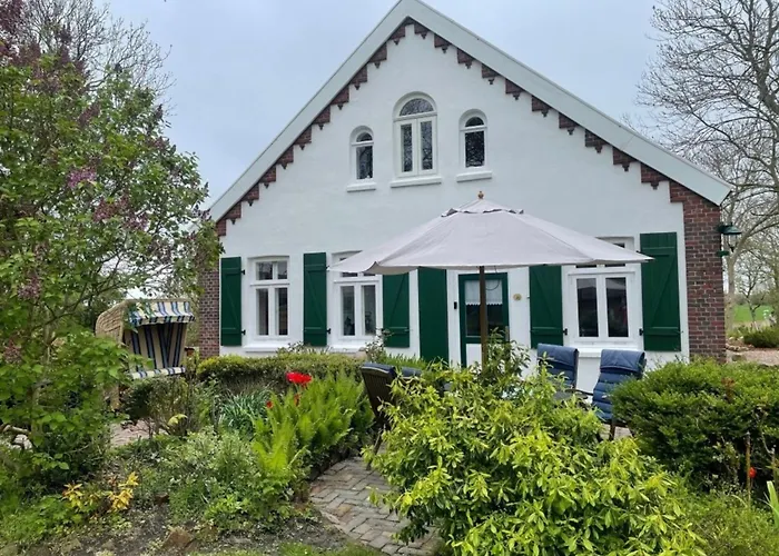 Up De Warft - Friesenrose *