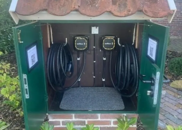 Up De Warft - Friesenrose *