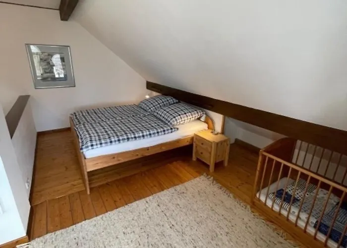 Up De Warft - Friesenrose