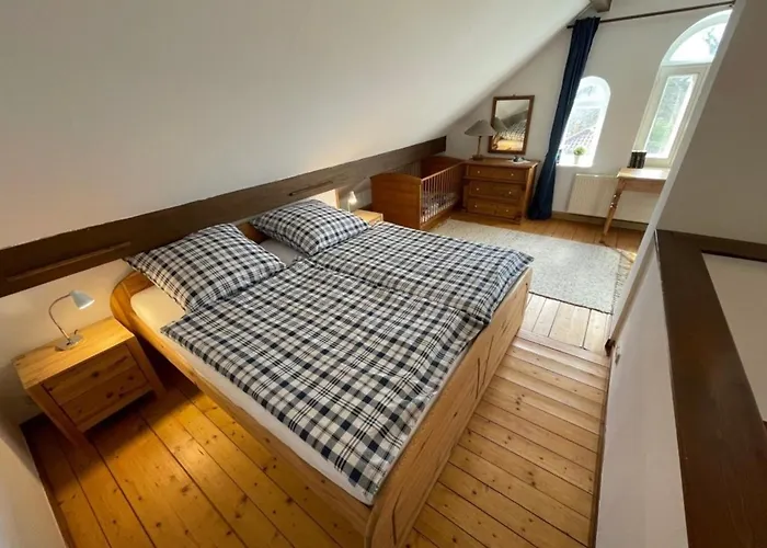 Up De Warft - Friesenrose * Werdum