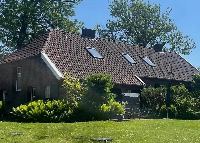 Up De Warft - Friesenrose Werdum